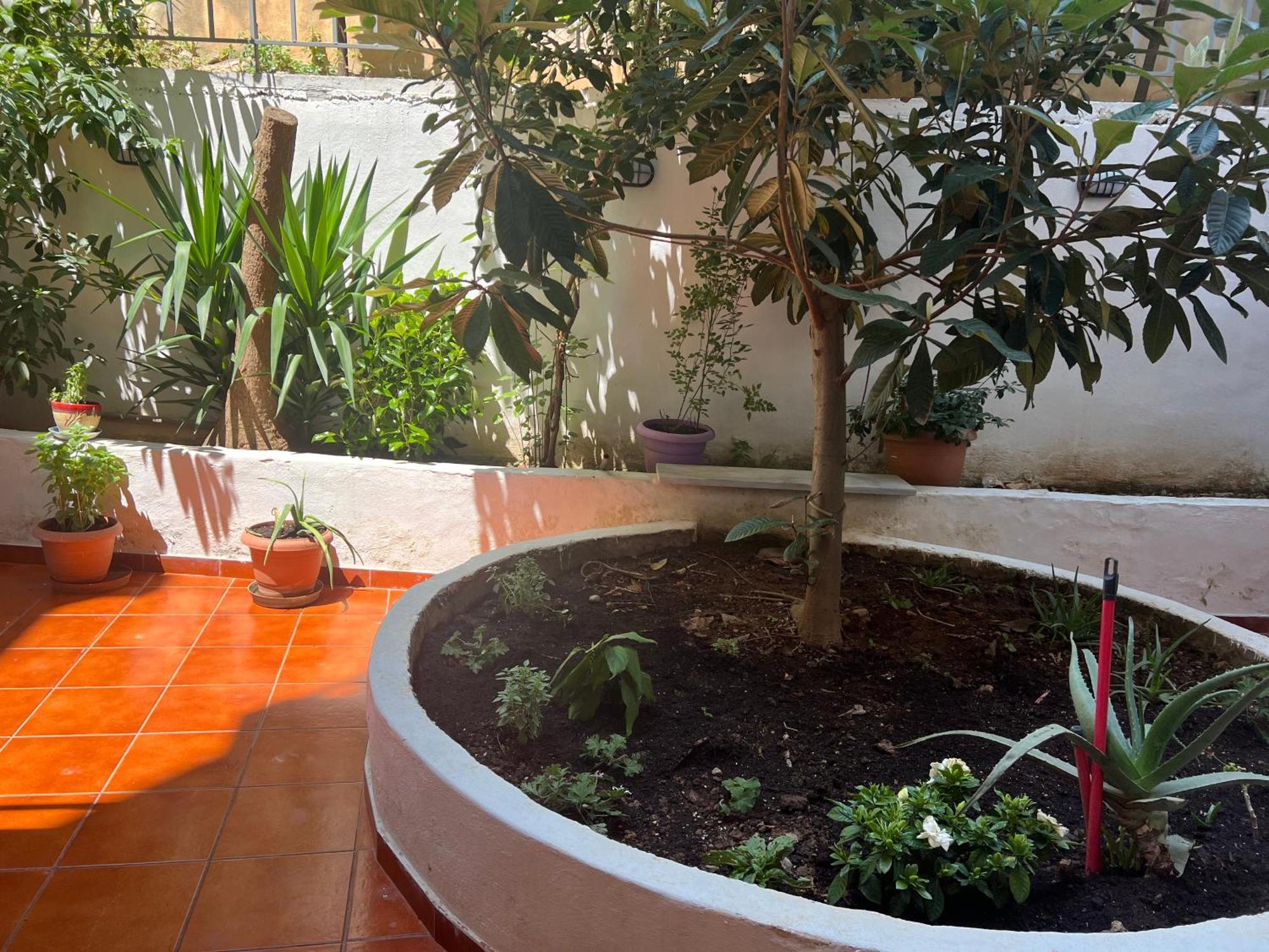 Athens Studio المظهر الخارجي الصورة